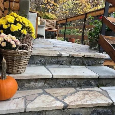 Wooden House In The Nature Chalé *