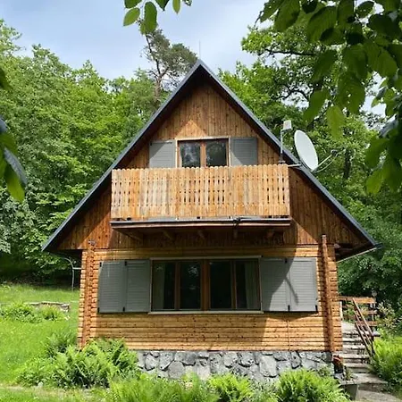 Wooden House In The Nature Modor