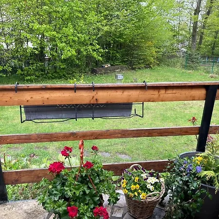 Wooden House In The Nature Modra