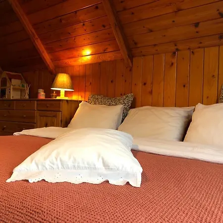 Wooden House In The Nature